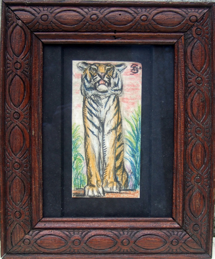 pablo tillac tigre